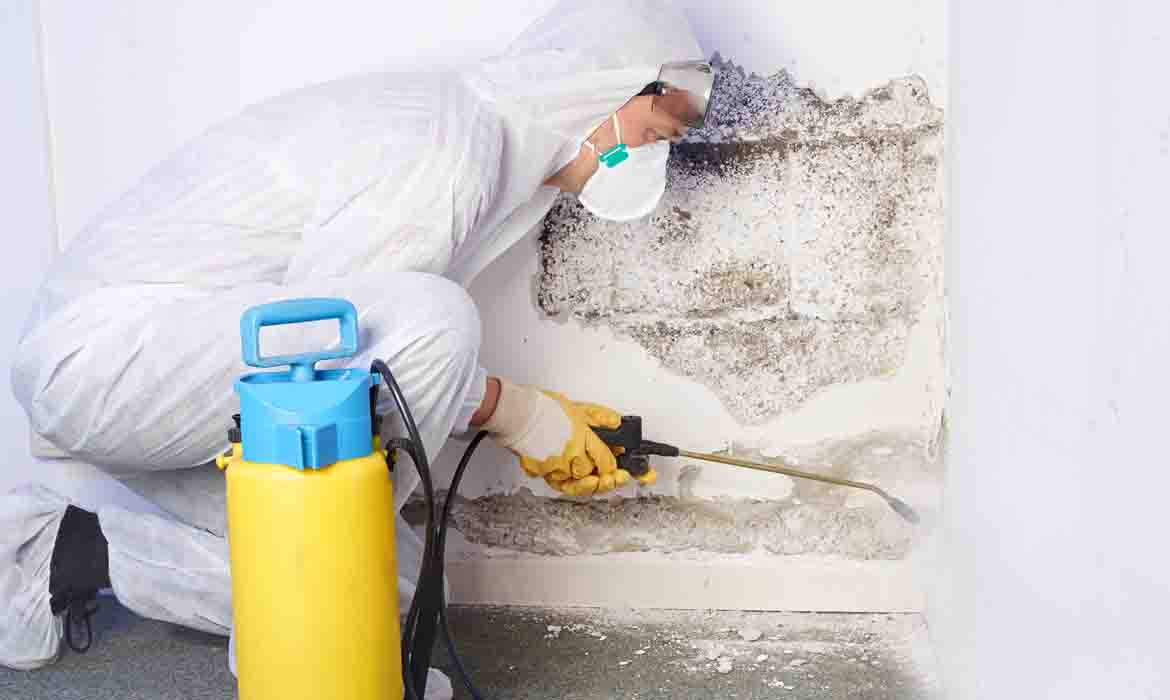 Enviromental services mold removal